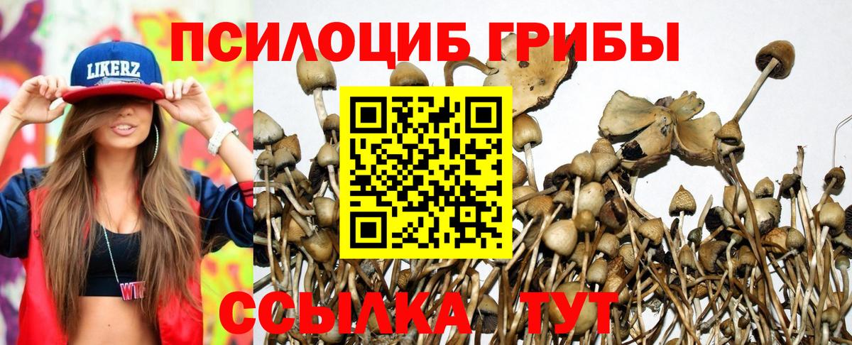 Галлюциногенные грибы ЛСД  Вход с VPN  Каменск-Шахтинский 